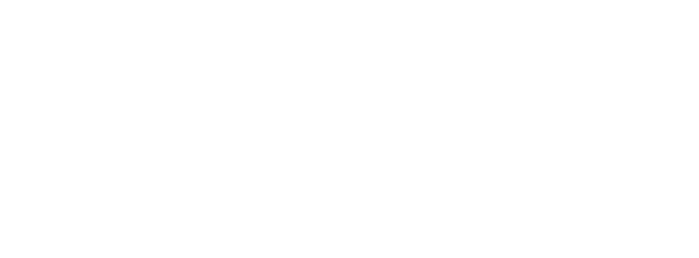 Viva Foundation